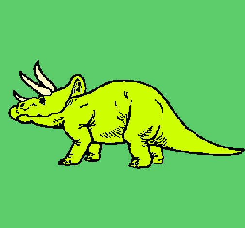 Triceratops