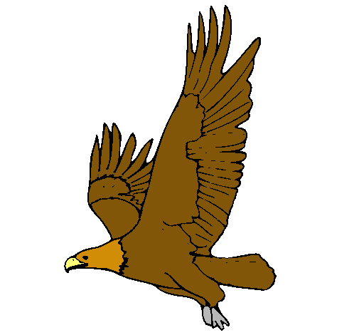 Águila volando