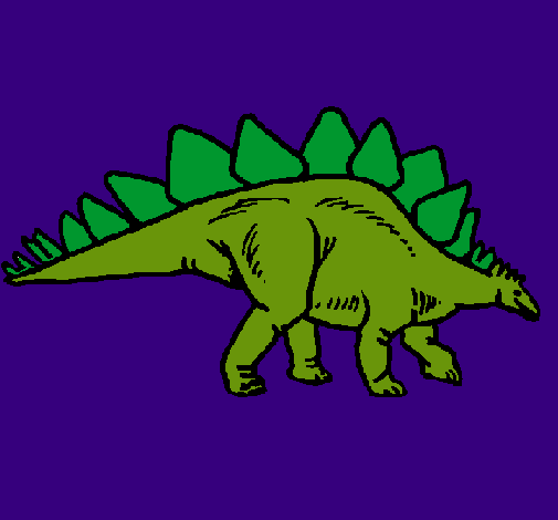 Stegosaurus