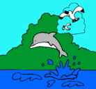Dibujo Delfín y gaviota pintado por kendry