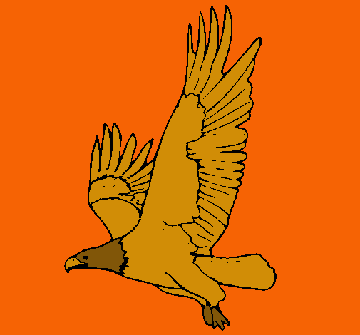 Águila volando