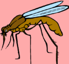 Dibujo Mosquito pintado por oriol
