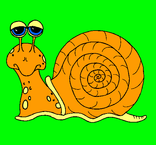 Caracol