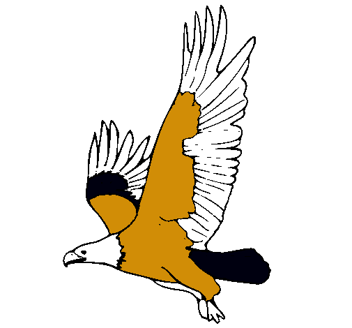 Águila volando