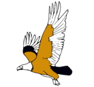 Dibujo Águila volando pintado por yeca
