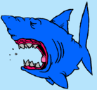 Dibujo Tiburón pintado por jessyre