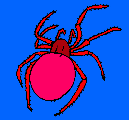 Araña venenosa