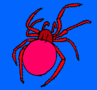 Dibujo Araña venenosa pintado por unax