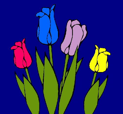 Tulipanes