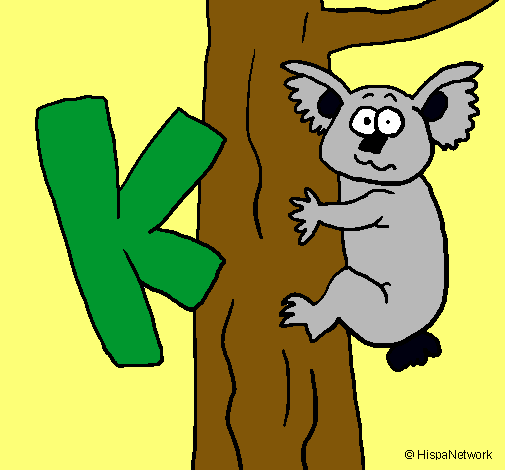 Koala