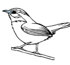 Dibujo Pájaro silvestre pintado por pajarito