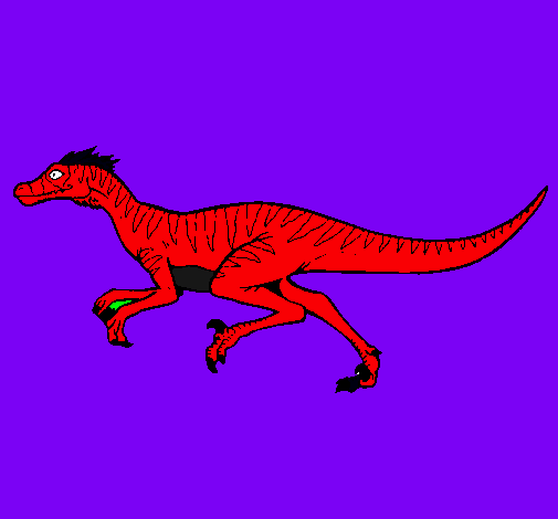 Velociraptor