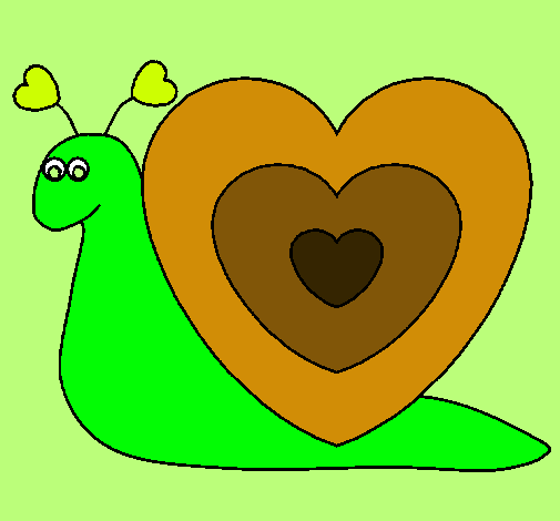 Caracol corazón