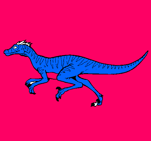 Velociraptor