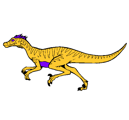 Velociraptor