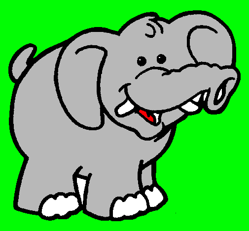 Elefante