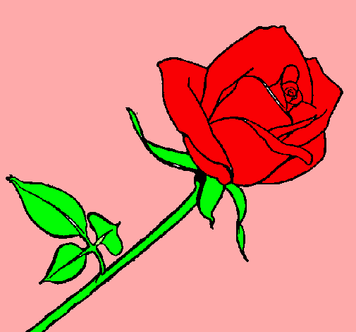 Dibujo Rosa pintado por anabela