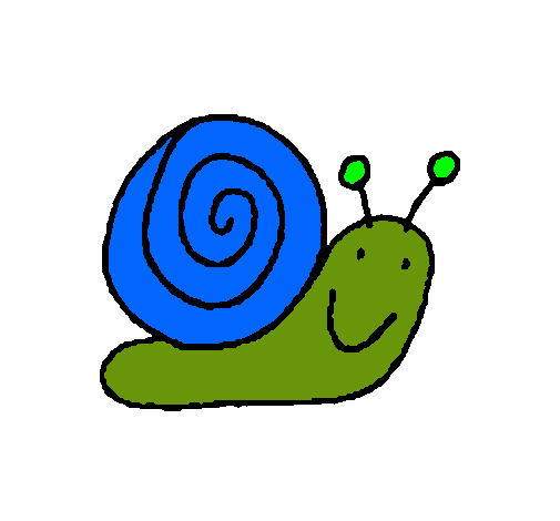 Caracol 4