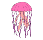 Dibujo Medusa pintado por medusa