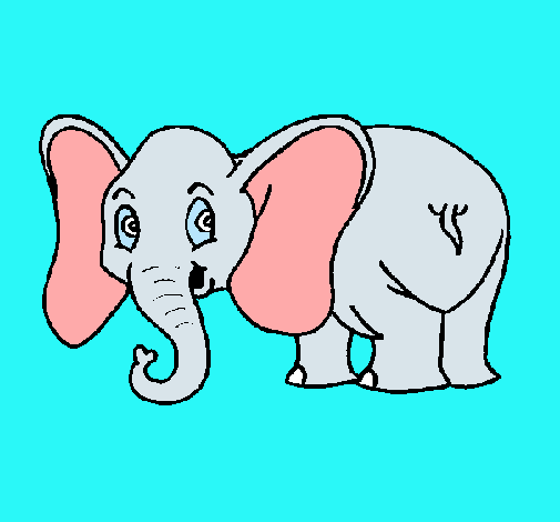 Elefante pequeño