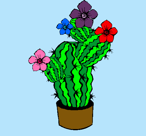 Flores de cactus