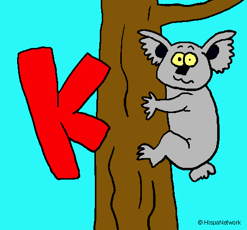 Koala