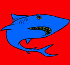 Dibujo Tiburón pintado por carst