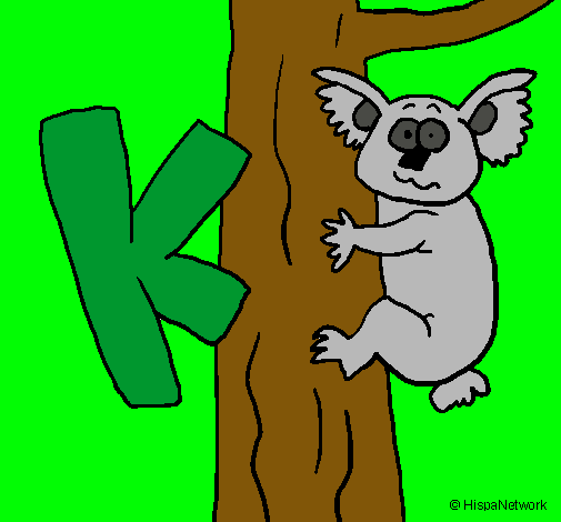 Koala