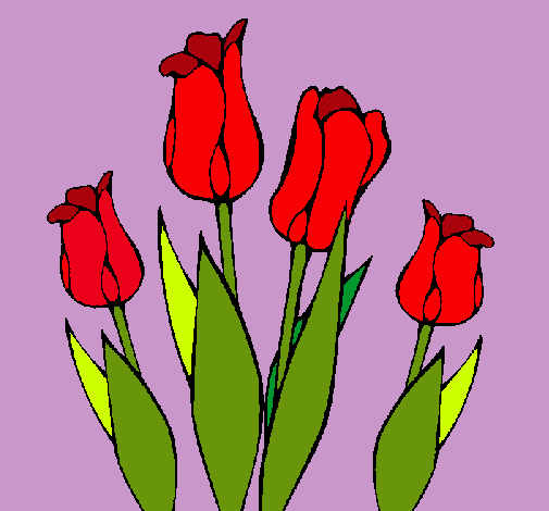 Tulipanes