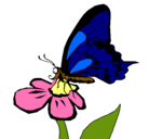 Dibujo Mariposa en una flor pintado por PAINT