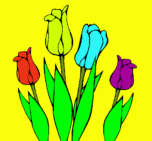 Tulipanes