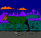 Dibujo Coyote pintado por emilca