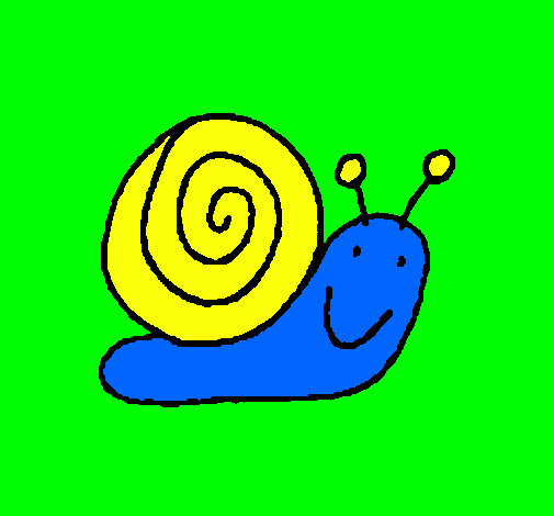 Caracol 4