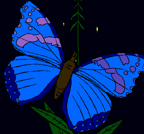 Mariposa