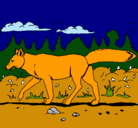 Dibujo Coyote pintado por dinodan