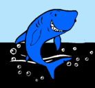 Dibujo Tiburón pintado por adios