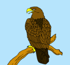 Dibujo Águila en una rama pintado por bsm20       