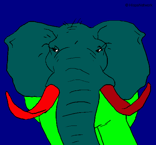 Elefante africano