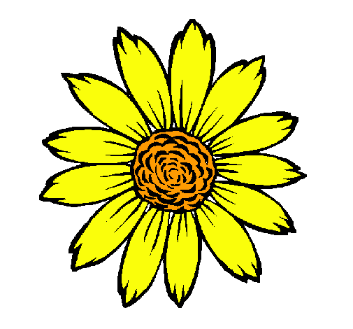 Girasol