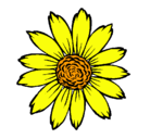 Dibujo Girasol pintado por astrydf