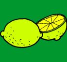 Dibujo limón pintado por lisbett