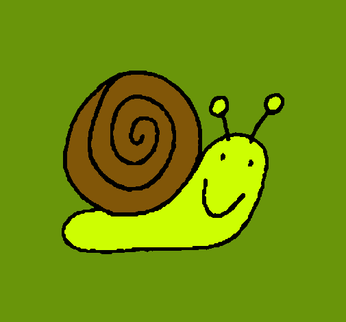 Caracol 4