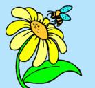 Dibujo Margarita con abeja pintado por IreeneeXB