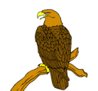 Dibujo Águila en una rama pintado por joseverano
