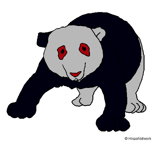 Oso panda