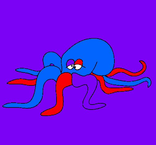 Pulpo