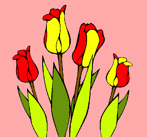 Tulipanes