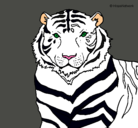 Dibujo Tigre pintado por Liamcete