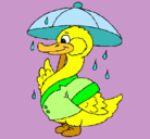 Dibujo Pato bajo la lluvia pintado por adios