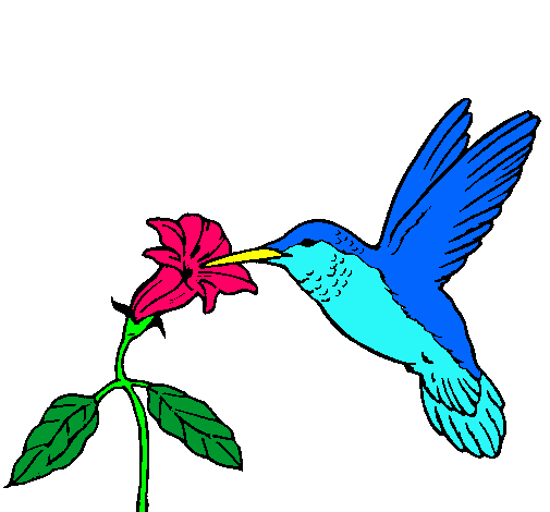 Colibrí y una flor